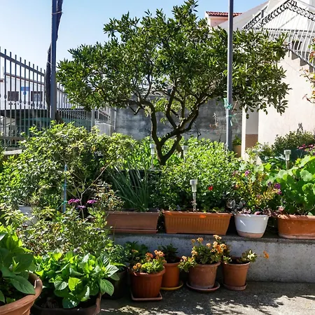 With Parking Space Stupin Celine, - 23812 Daire Rogoznica (Sibenik-Knin)